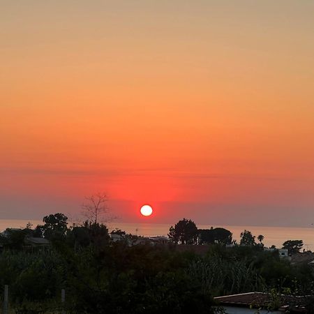 Villa Rosa Tropea Eksteriør bilde