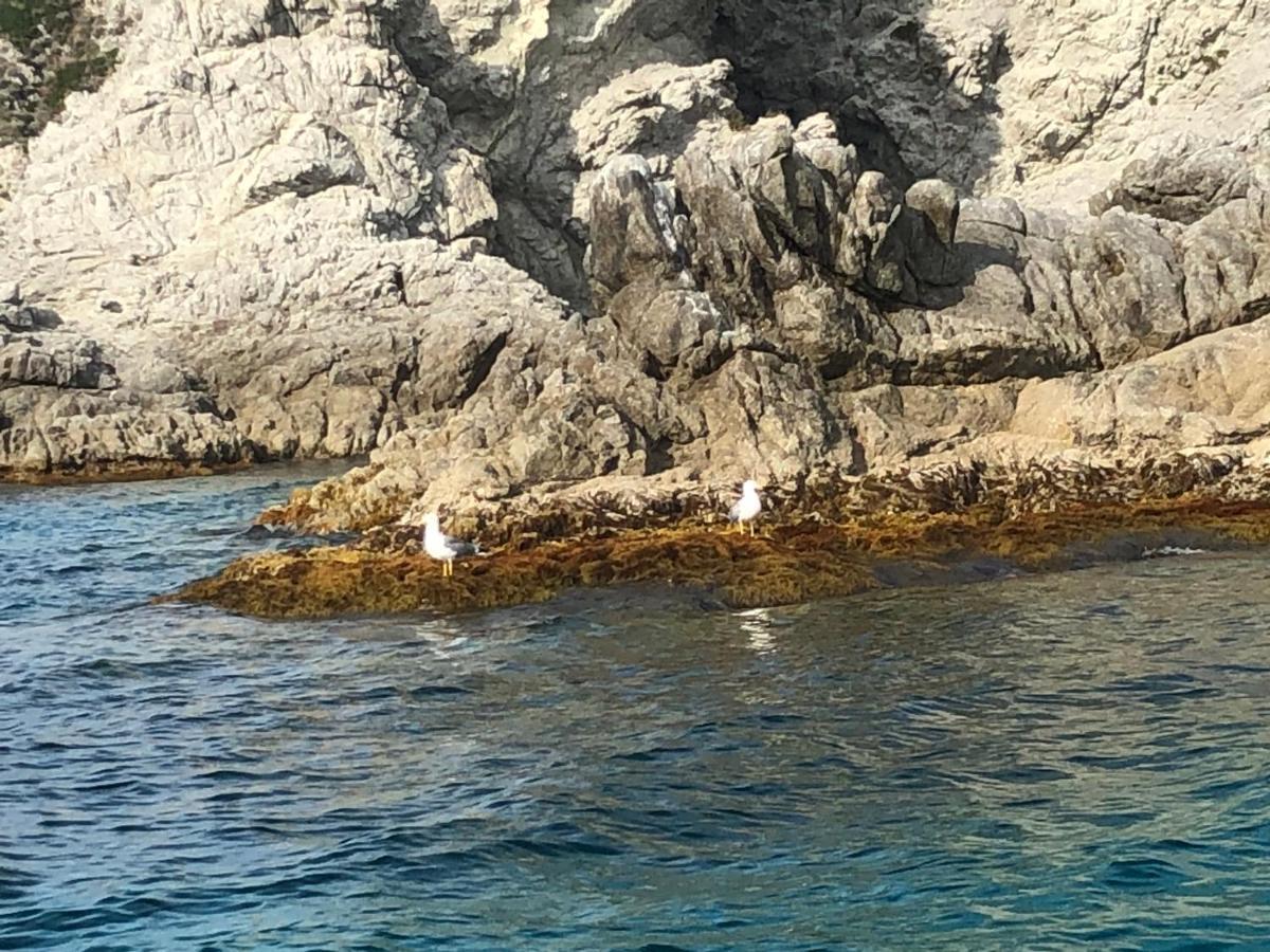 Villa Rosa Tropea Eksteriør bilde