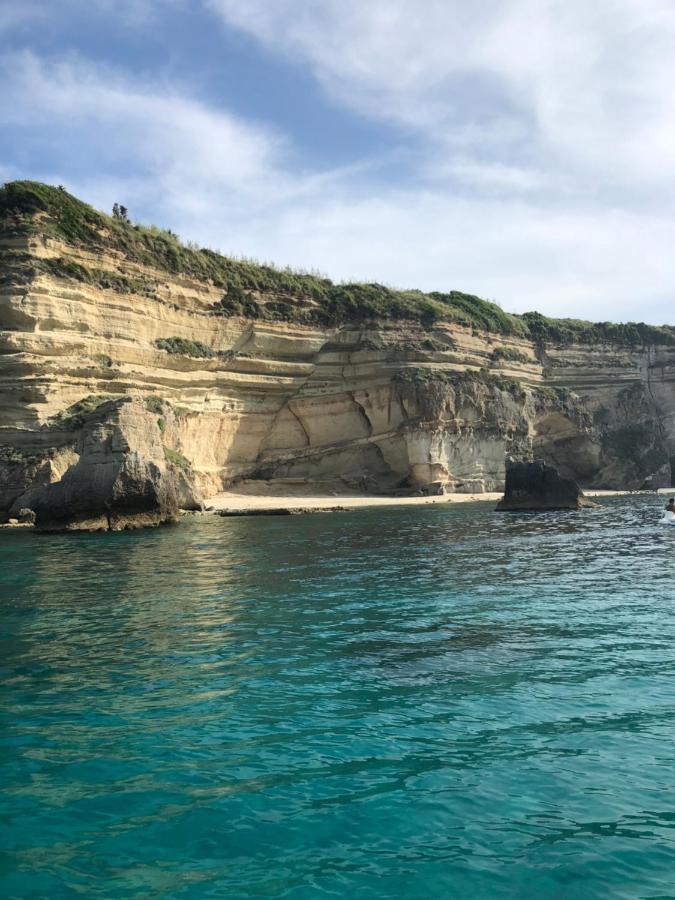 Villa Rosa Tropea Eksteriør bilde
